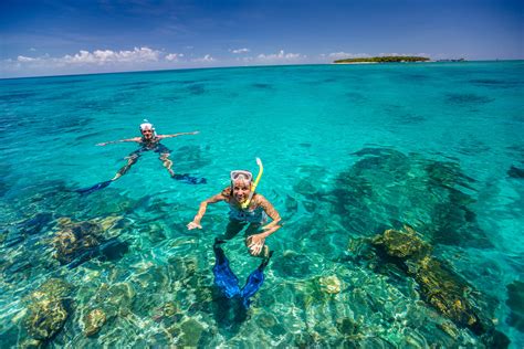 Cruise, Snorkel, and Dive with Reef Magic Cruises